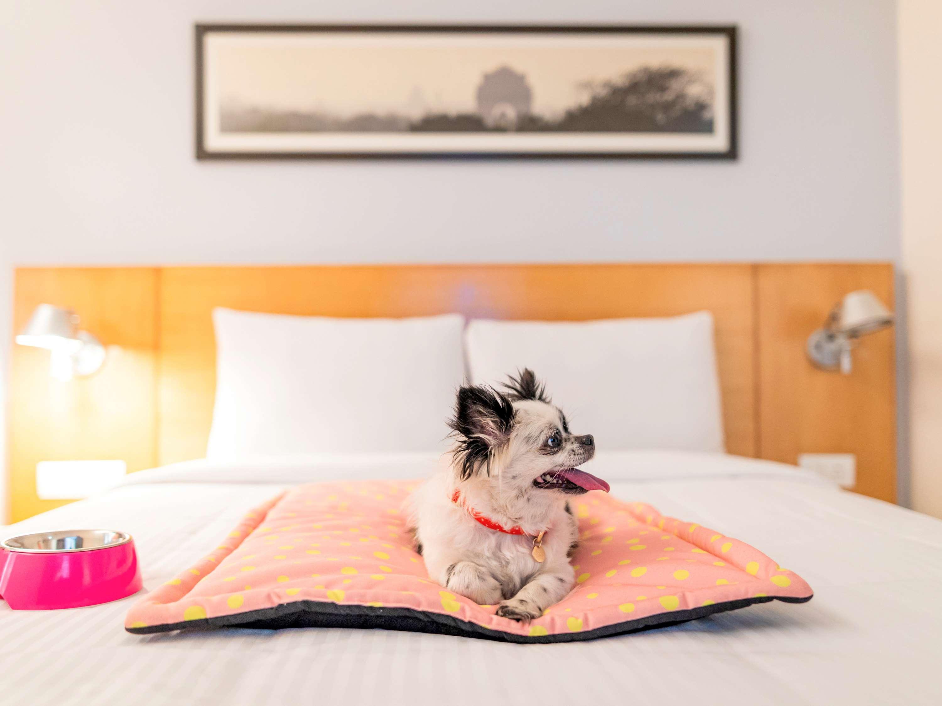 Ibis Bengaluru Hosur Road - An Accor Brand Otel Dış mekan fotoğraf